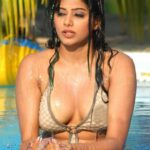Priyamani