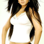 Celina Jaitly Photos