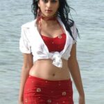 Shraddha Das
