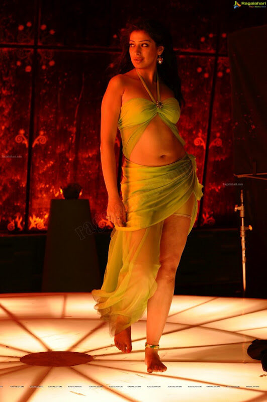 Lakshmi Rai Adhinayakudu Photos