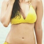 Alia Bhatt Photoshoot Stills