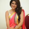 Shraddha Das Half Saree