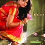 Anushka Bridal Saree