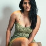 Hebah Patel (1)