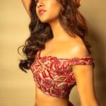 Nabha-Natesh-4
