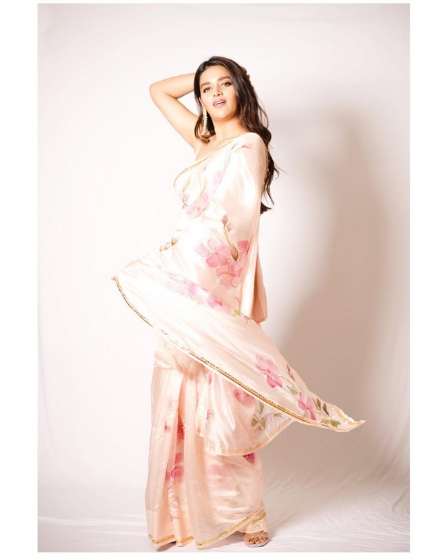 Nidhhi Agerwal 5