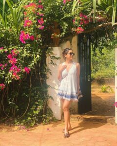 Nabha Natesh 4