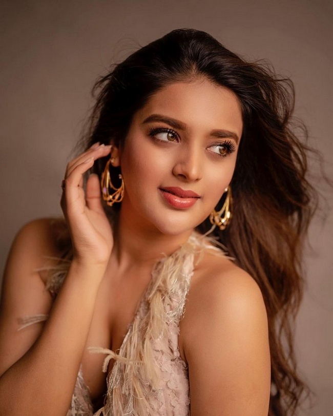 Nidhhi Agerwal 1