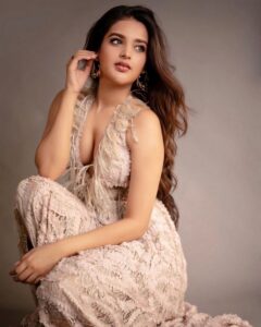 Nidhhi Agerwal 3