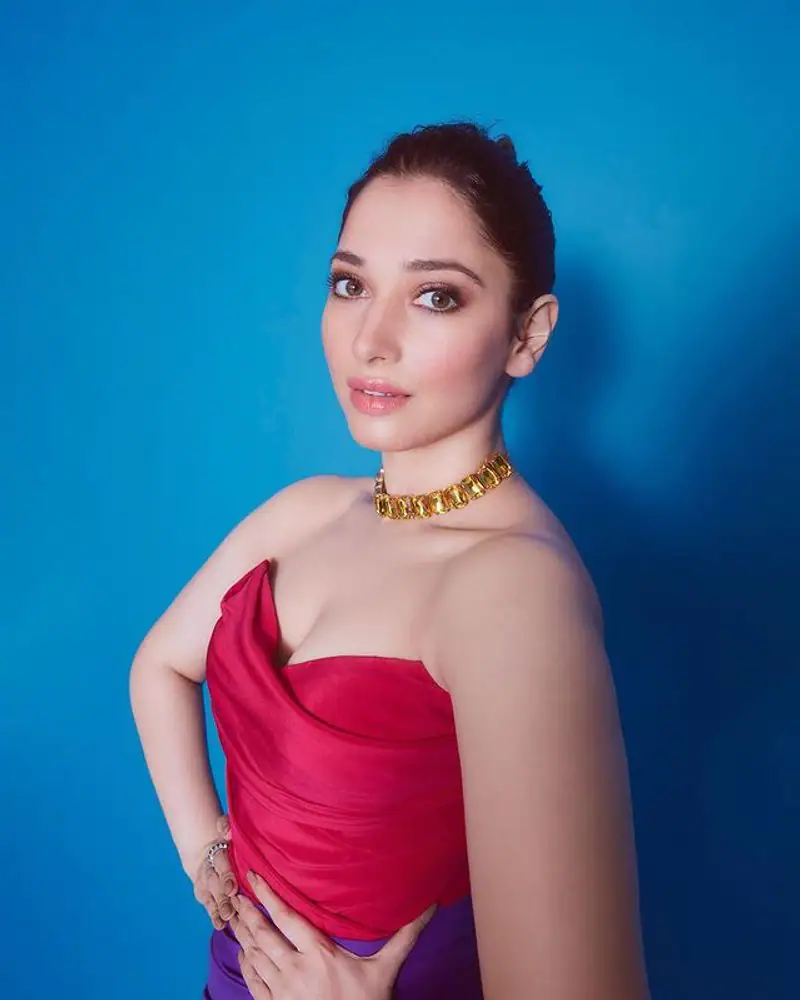 Tamannah 03