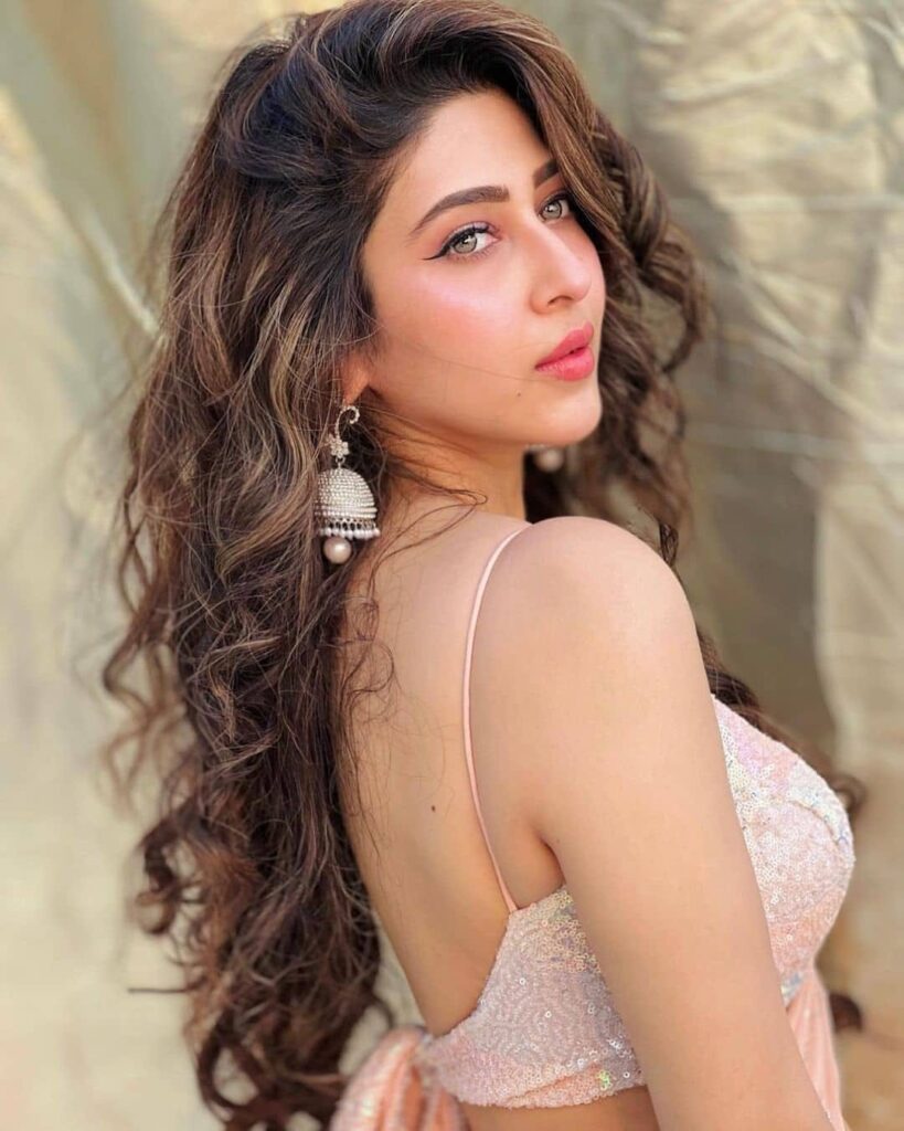Sonarika 2 1