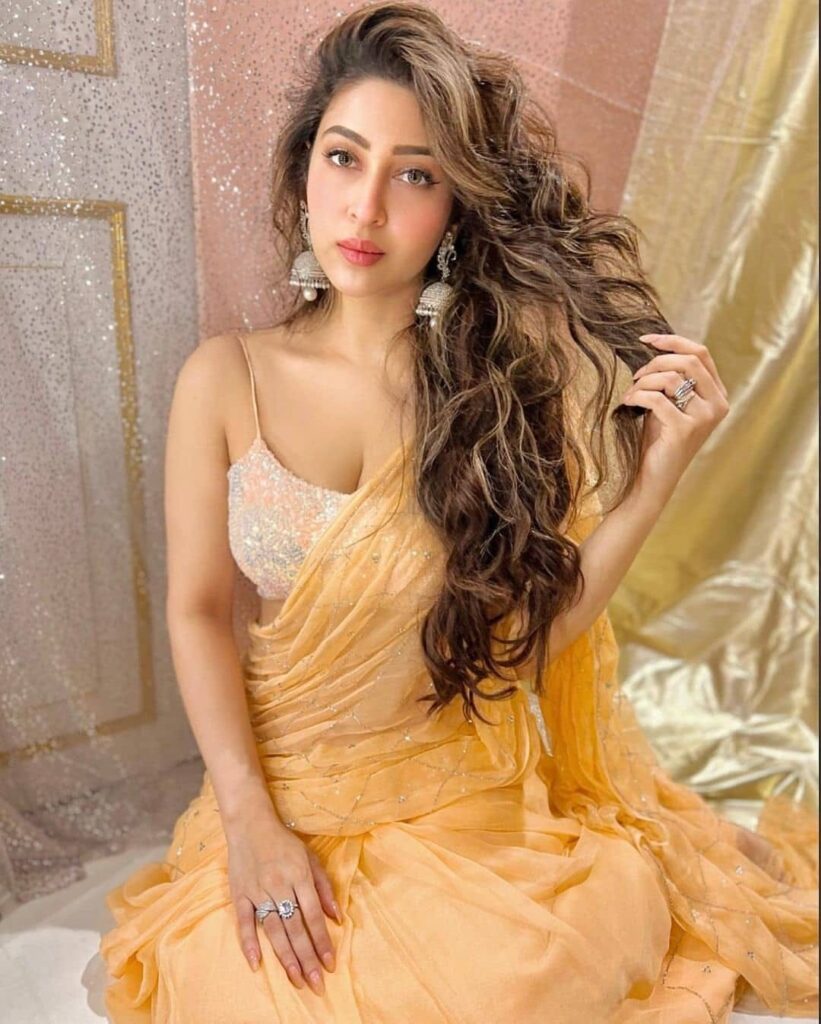 Sonarika 3 1