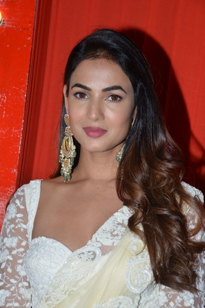 sonal chauhan 6