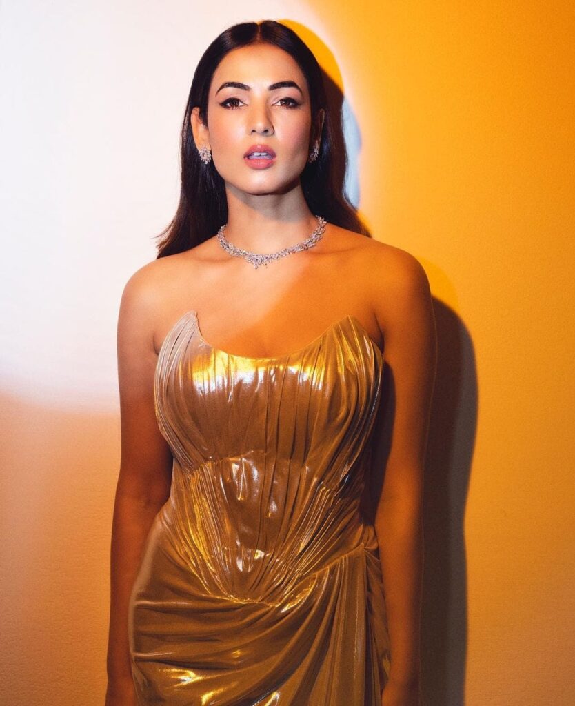 Sonal 10