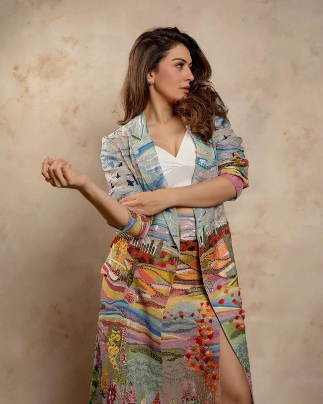 Hansika Motwani 2