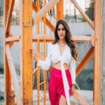 Nabha Natesh (6)