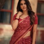 Nabha Natesh (5)