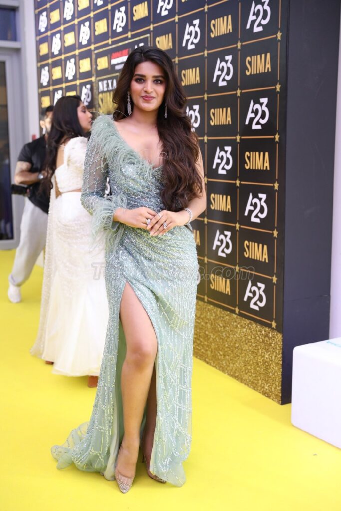 Nidhhi Agerwal at Nexa SIIMA Awards7