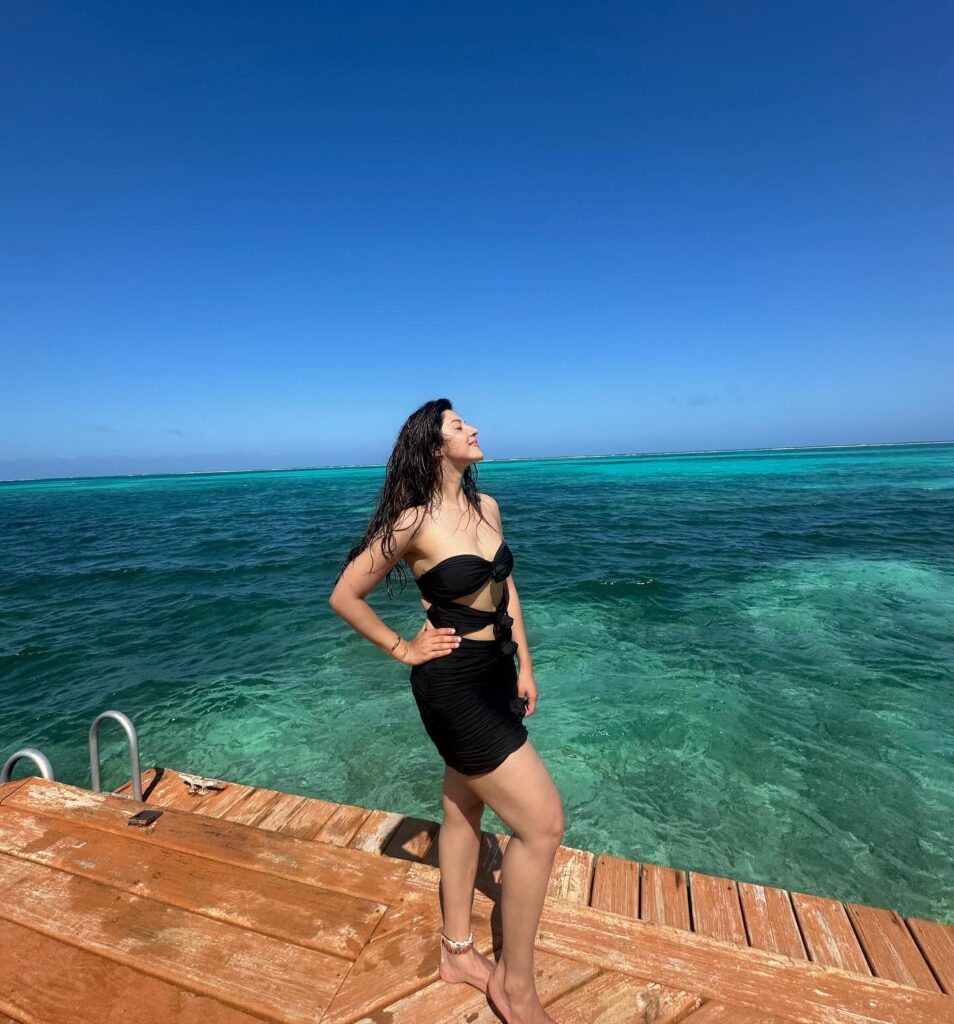 Mehreen Pirzada 3