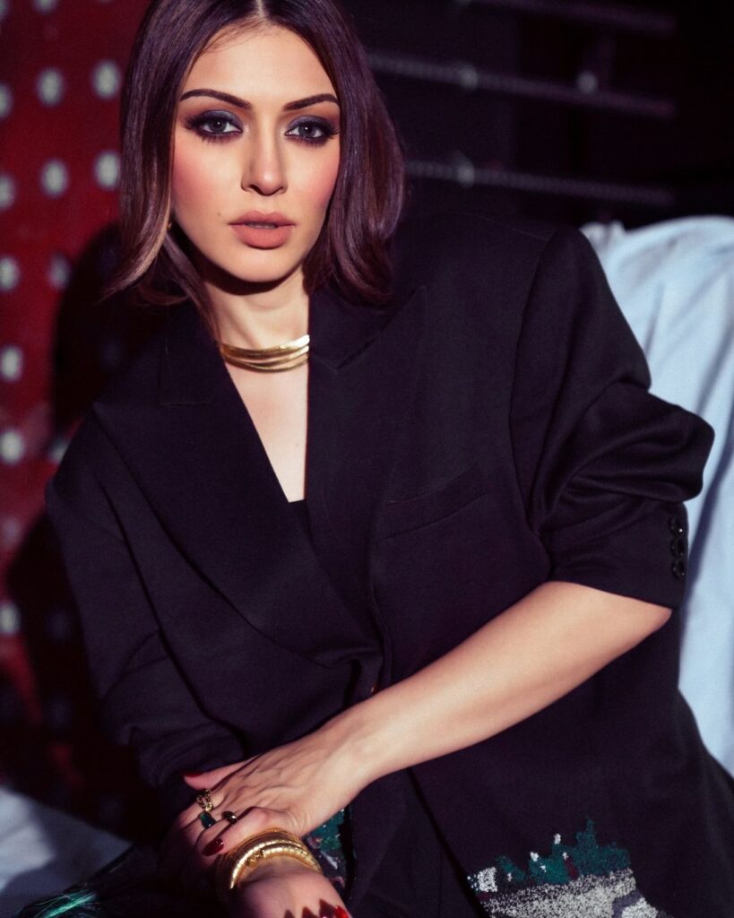 Hansika 4 2