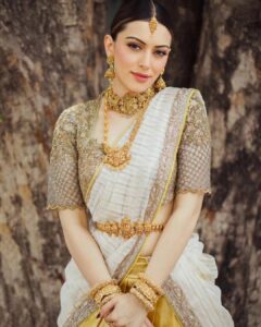Hansika Motwani Biography: 8 Remarkable Milestones in Her Journey 16 Hansika