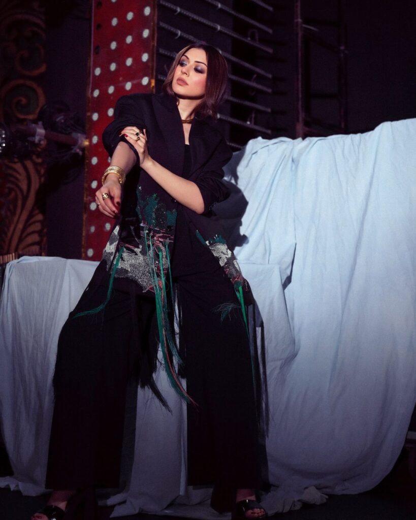 Hansika 7 2