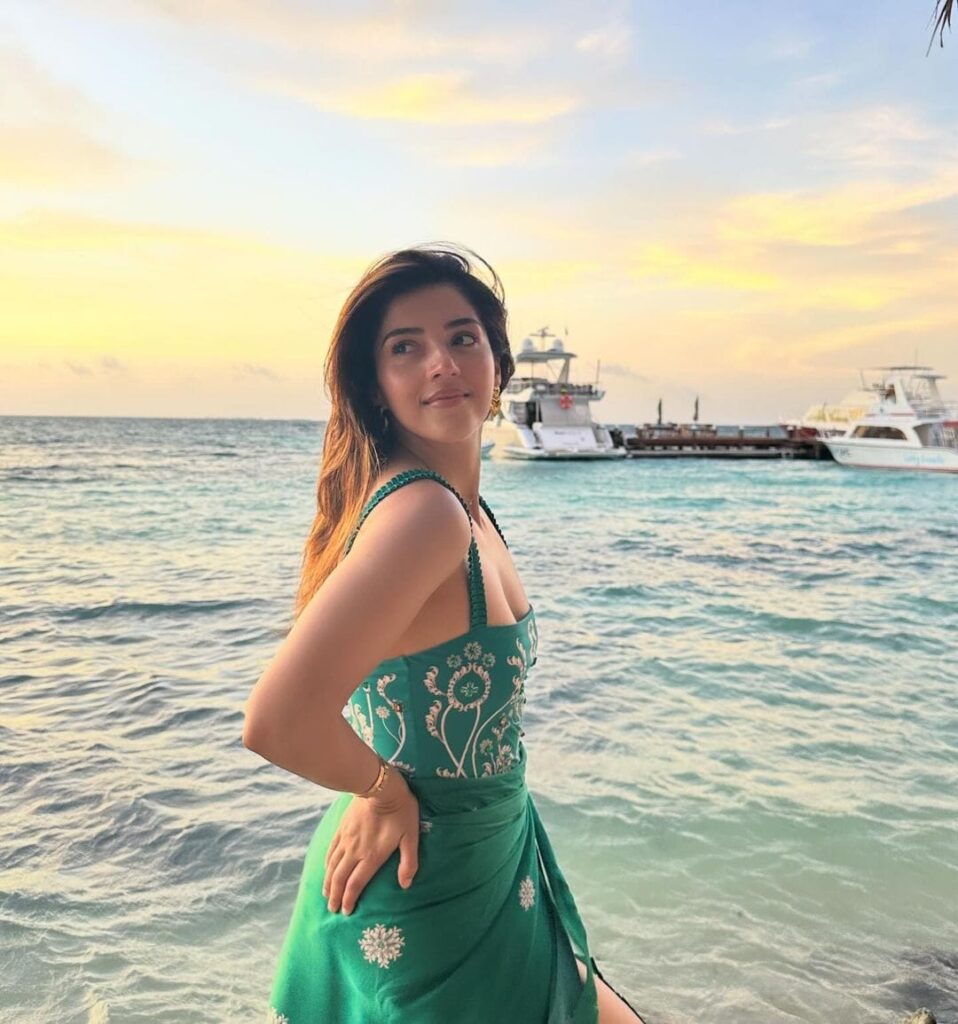 Mehreen Pirzada 2