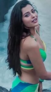 Payal 5