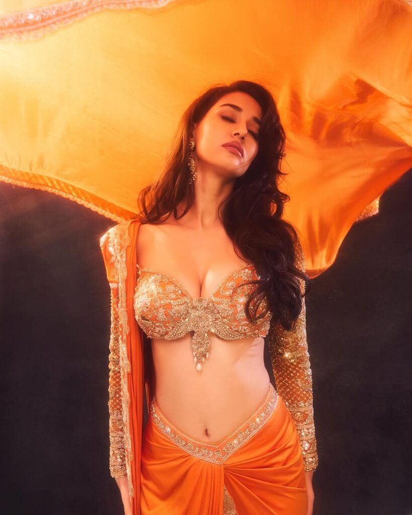 Disha 3