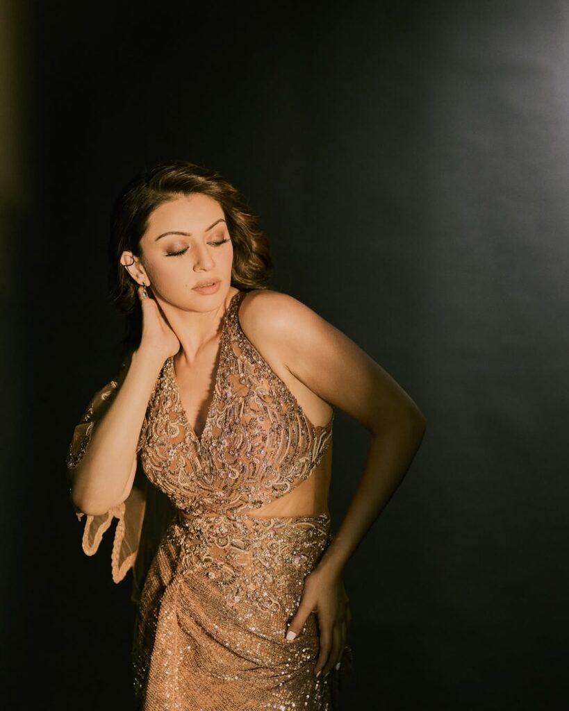 Hansika 4