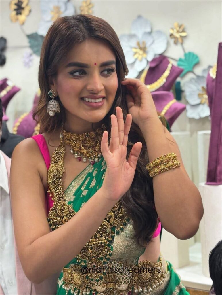 Nidhhi Agerwal 5