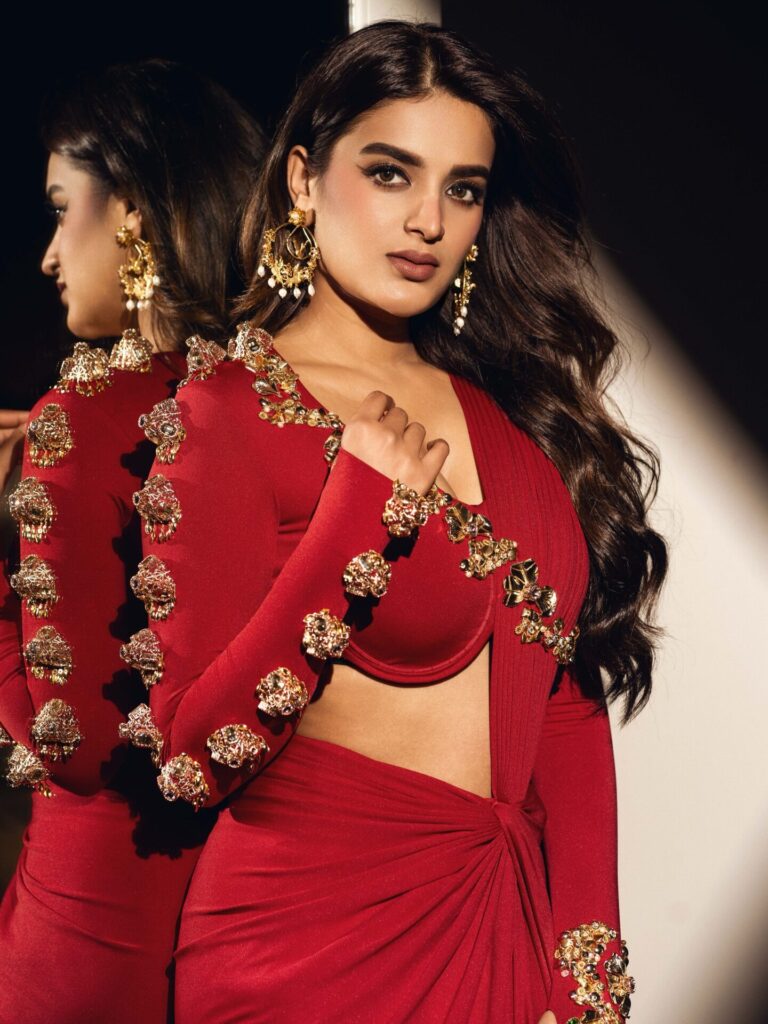 Nidhi Agarwal 2