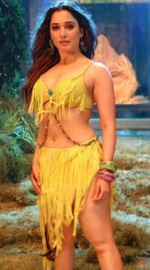 Tamannaah Bhatia 17