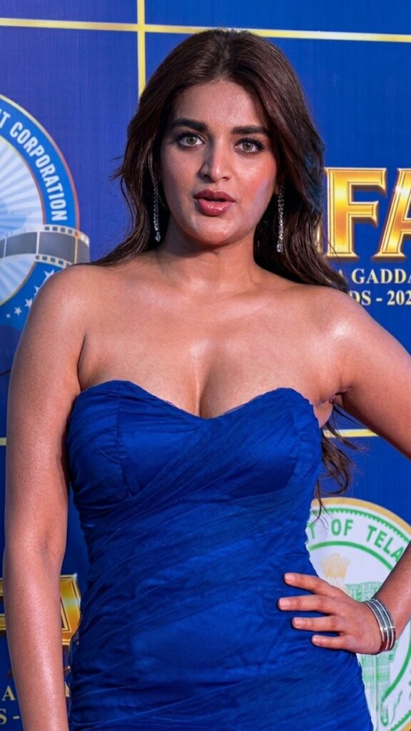 Nidhi Agarwal 3