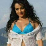 Trisha Krishnan Biography: 15 Inspiring Facts About the South Indian Star Trisha