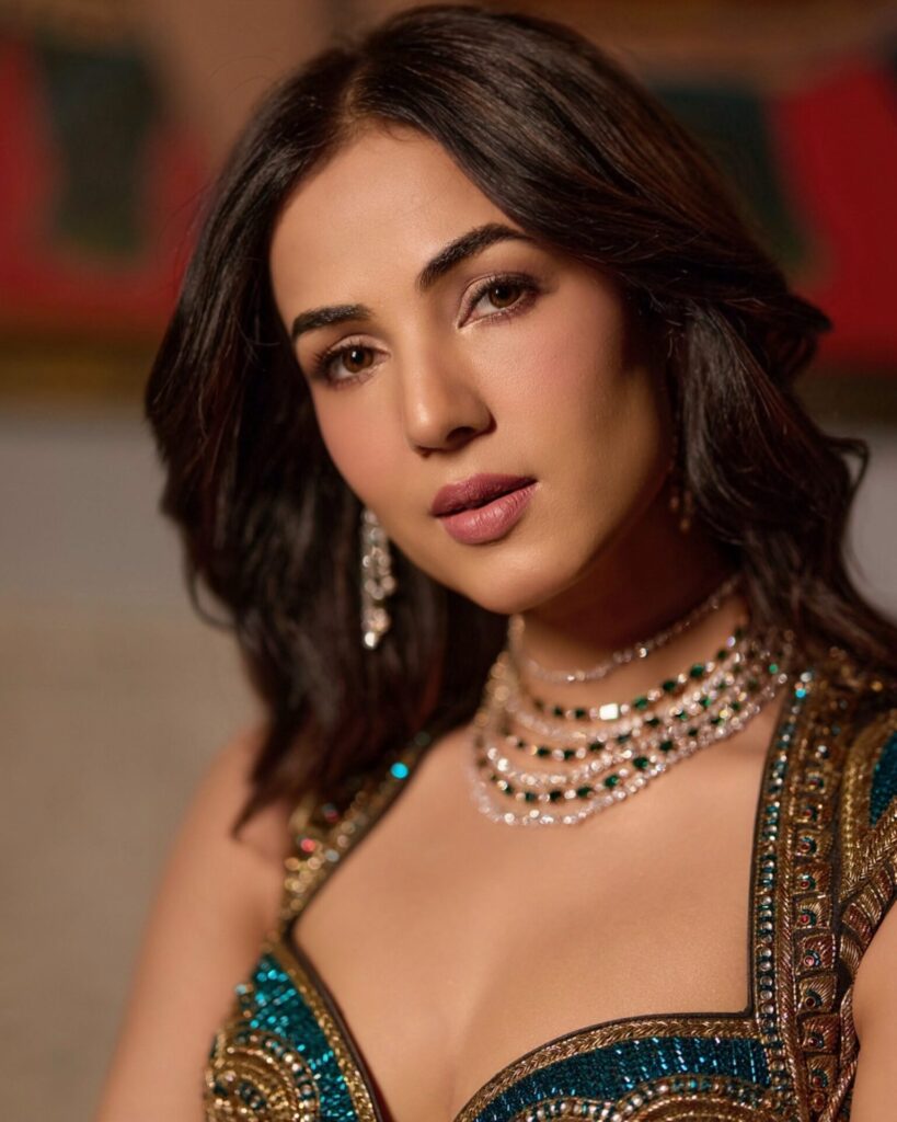 Sonal 5